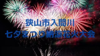 さいたま市花火大会 東浦和 大間木公園会場 埼玉labo